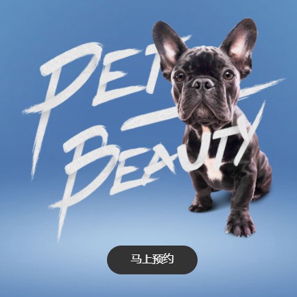 江陵宠物中心小程序开发